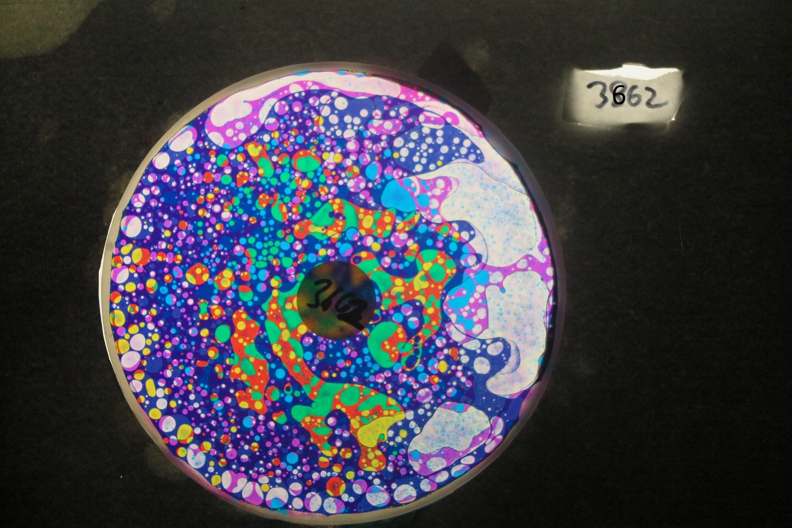 BV3662 bubble vision oil wheel